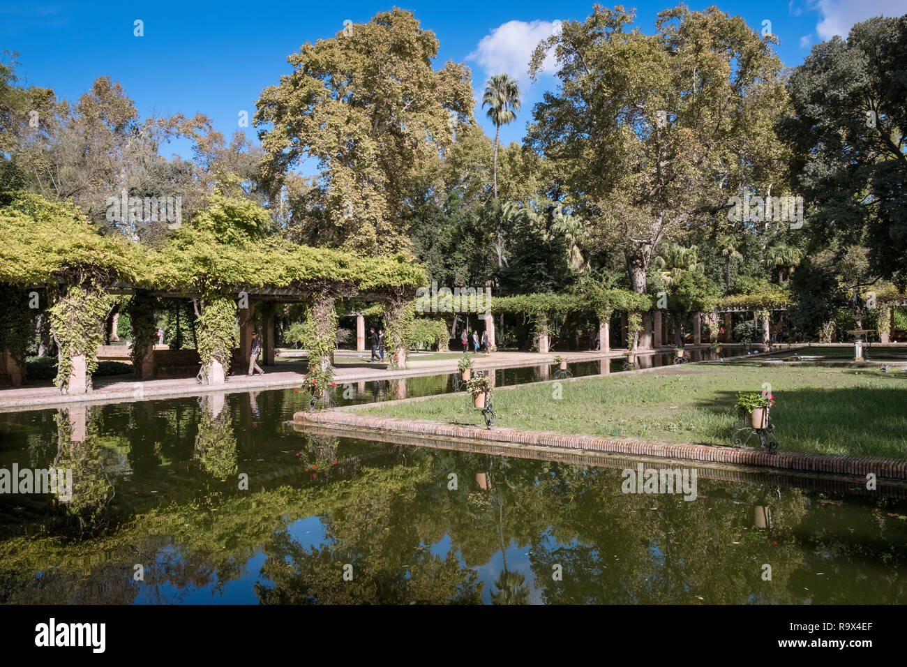 Die Gärten innerhalb der Maria Luisa Park (Parque de María Luisa), Sevilla, Andalusien, Spanien. Stockfoto