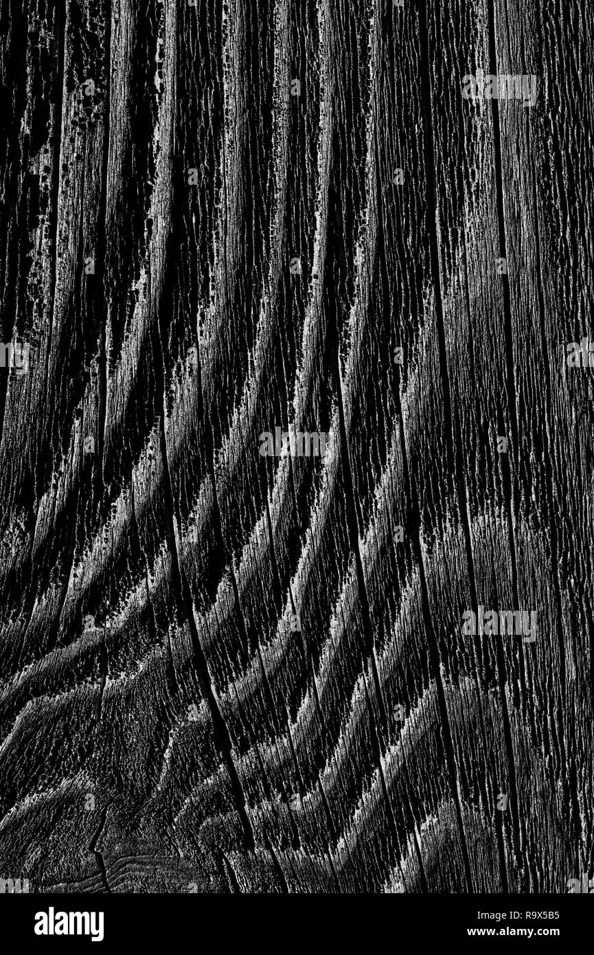 Holz Zaun close-up mit Holzmaserung und Holz Knoten Stockfoto