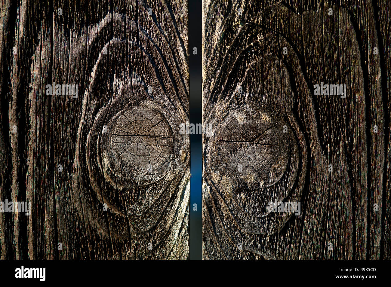 Holz Zaun close-up mit Holzmaserung und Holz Knoten Stockfoto
