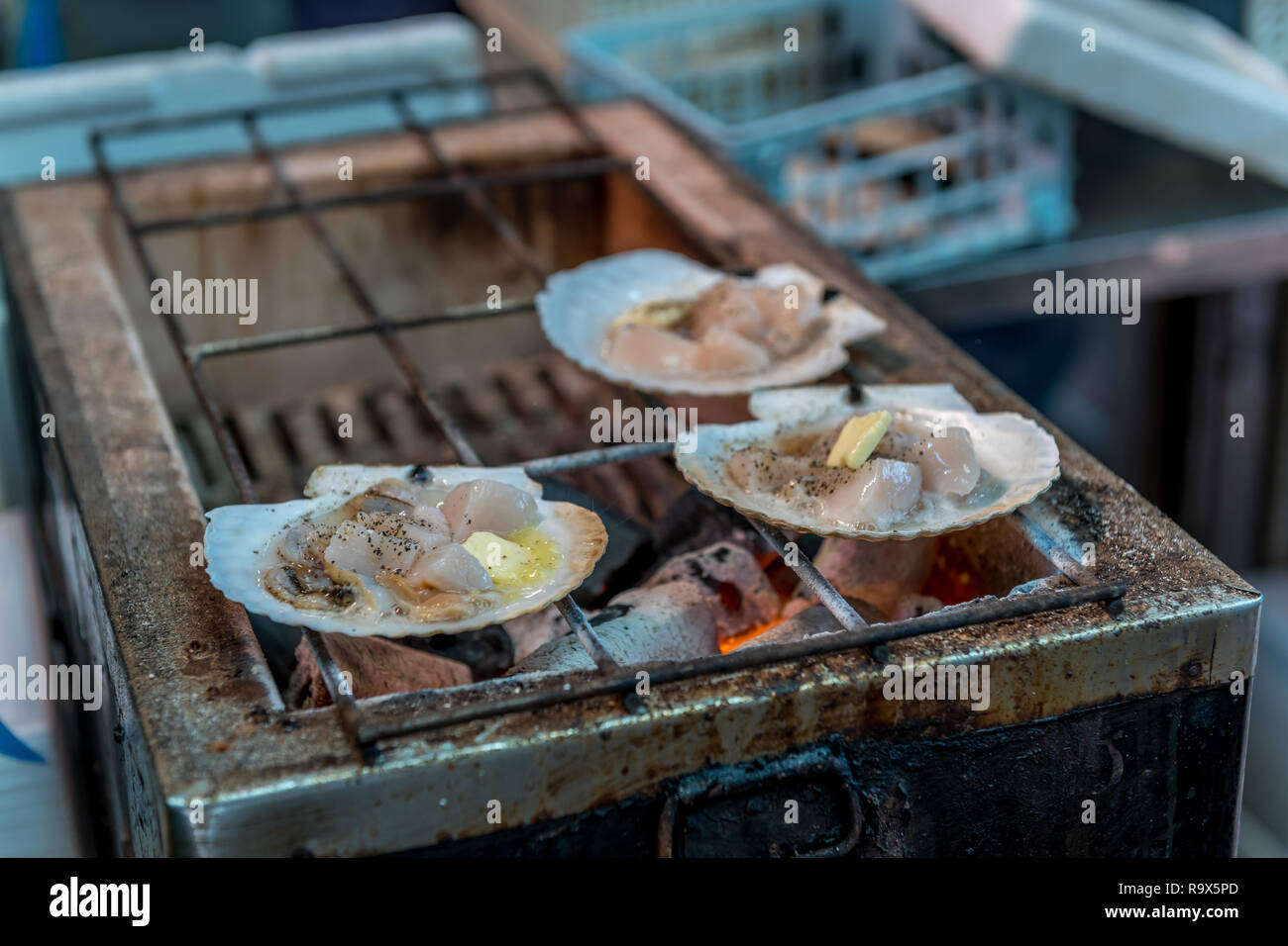 Austern sind auf dem Grill zubereitet. Stockfoto