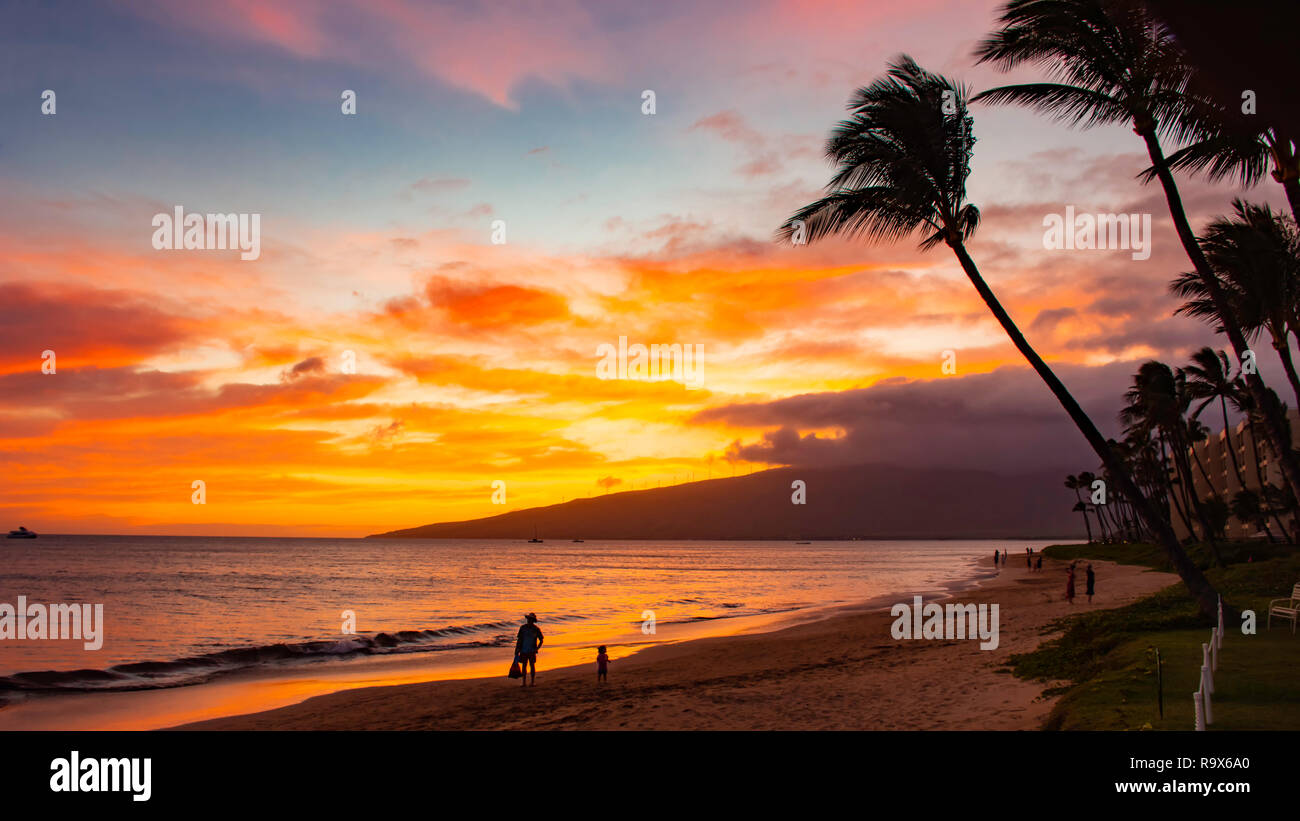 Strand Und Palmen Baume Bei Sonnenuntergang Am Sugar Beach Kihei Maui Hawaii Usa Stockfotografie Alamy