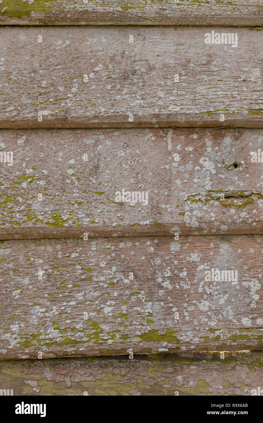 Verwitterte Holzbretter, montiert auf der Fassade. Stockfoto