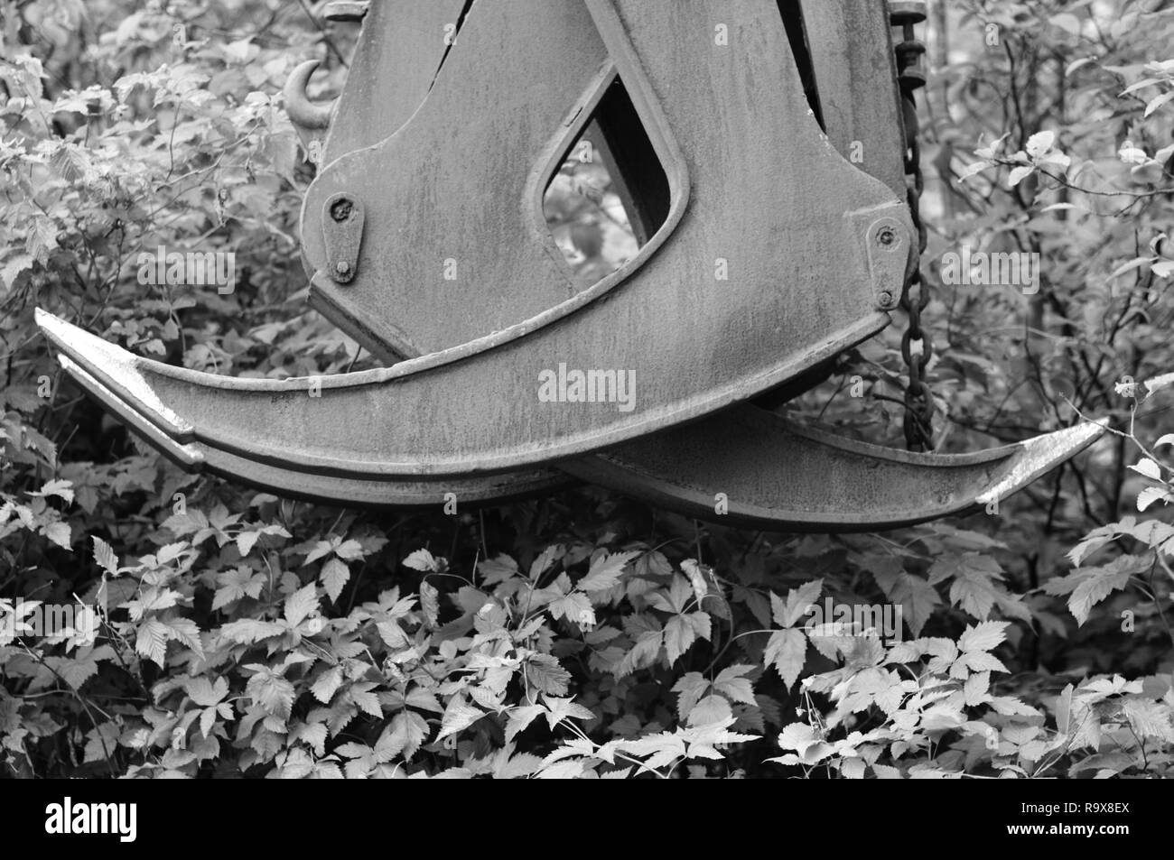 Alaskan Holzindustrie in Schwarz und Weiß Stockfoto