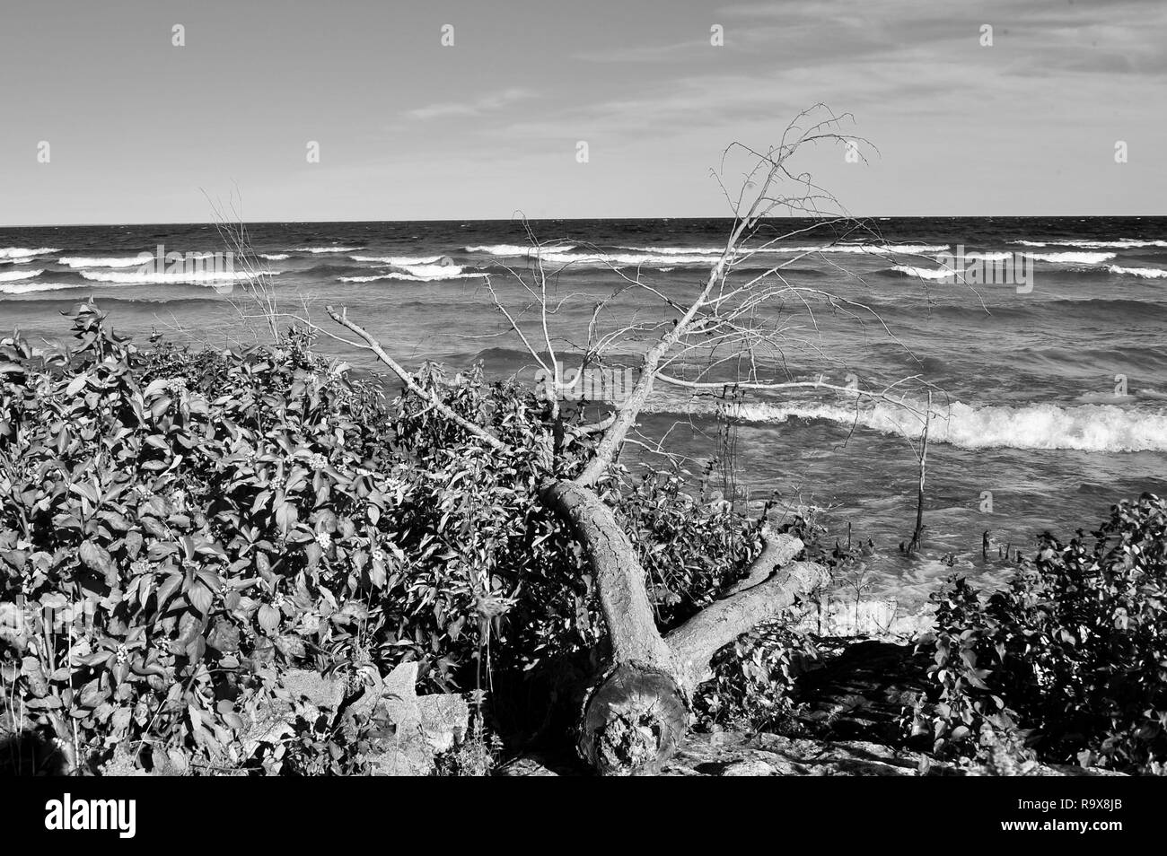 Mackinac Island, Michigan Schwarz und Weiß Stockfoto