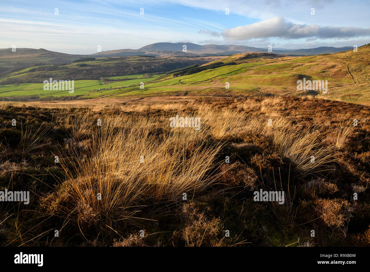 Cairnsmore der Flotte, Galloway Hills, Dumfries and Galloway, Schottland Stockfoto