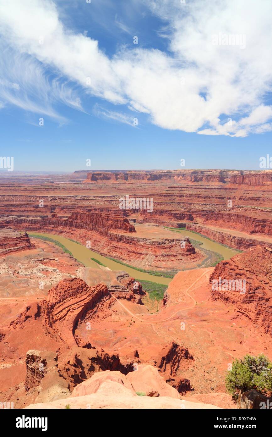 Canyon Landschaft - Dead Horse Point State Park in New Jersey, USA. Berühmte Colorado River Canyon im roten Sandstein gehauen. Stockfoto