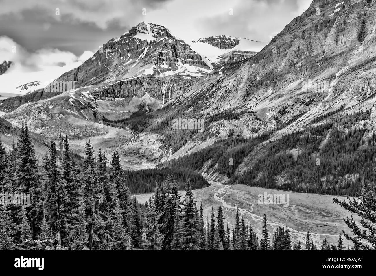 Schwarz-weiß-Bild des Peyto Lake, Banff National Park, Alberta, Kanada, Nordamerika Stockfoto