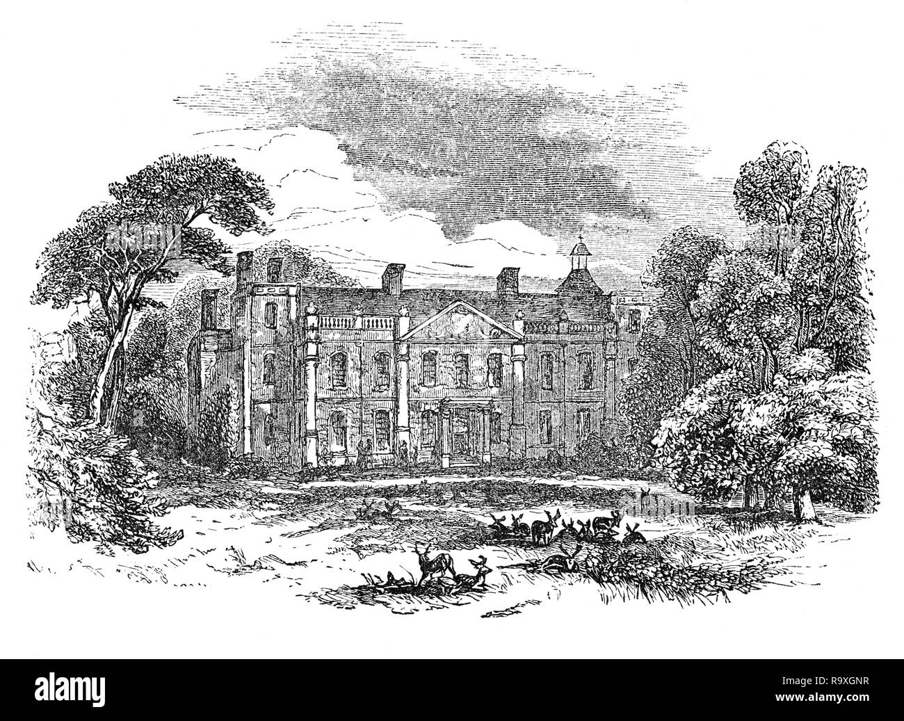 Eine kleine Herde von Rehen vor Hill Hall, ein elisabethanisches Herrenhaus in Theydon Berg in der Nähe von Epping, Essex, England. Ursprünglich für Sir Thomas Smith während der Regierungszeit von Elisabeth I. zu einem Haus aus dem 12. Jahrhundert auf der gleichen Seite ersetzen, Gebäude wurde über mehrere Intervalle (1567-8, 1572-3) zwischen Smith's Stints als Botschafter in Frankreich durchsetzt durchgeführt. Entsprechend lokaler Legende, Hill Hall war einmal die Website von einem Duell zwischen sieben Brüder, für die Hand von einem schönen Mädchen. Jeder Bruder getötet wurde. Es ist auch angeblich von einem Phantom Black Dog. Stockfoto