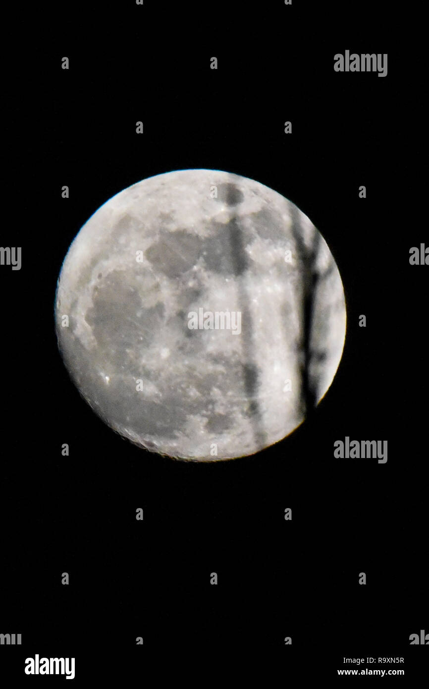 Vollmond durch einen Baum Stockfoto