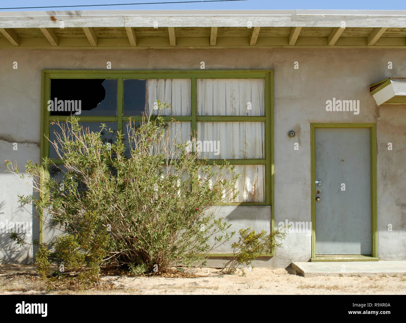 Eine überwachsene Bush verschleiert ein defektes Fenster an den Dünen, einem verlassenen Motel/Apartmentanlage an der historischen Route 66 in der Nähe von Barstow, Kalifornien. Stockfoto