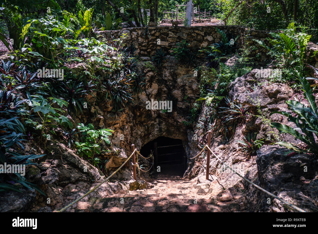Die U-Bahn zur Cenote, Mexiko Stockfoto