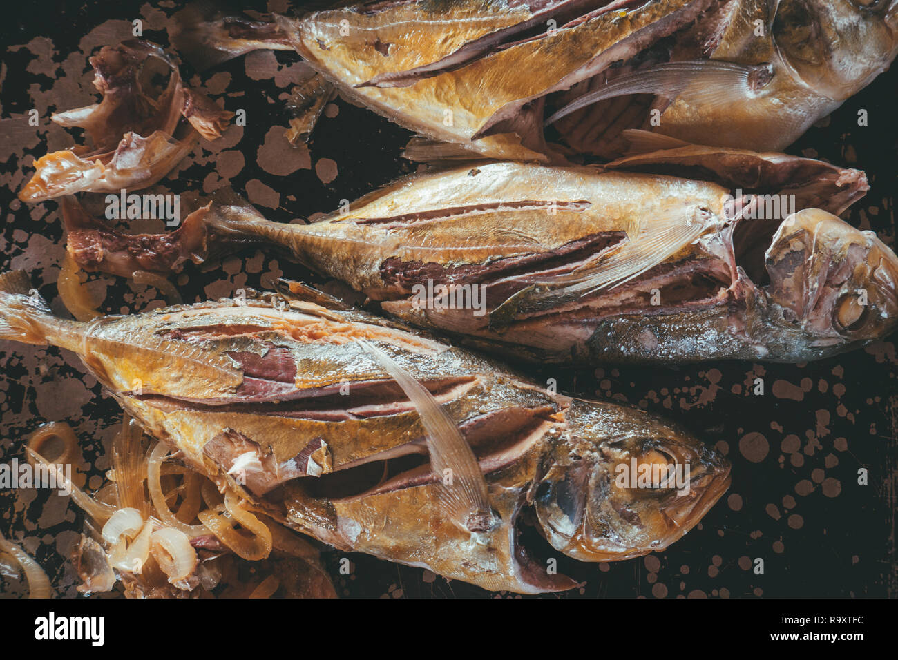 Frische Meeresfrüchte San Blas Inseln Stockfoto