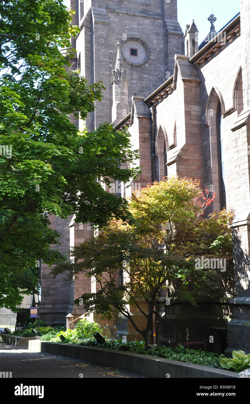 St. Paul's Episcopal Cathedral, Seitenansicht, Church Street, Downtown Buffalo, NY Stockfoto