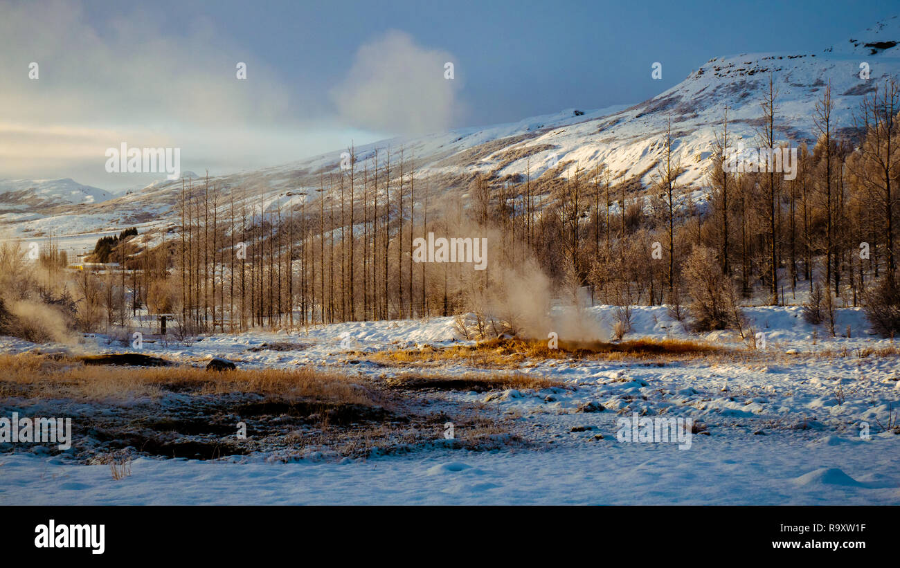 Strokkur Geysir, Haukadalur geothermische Feld, Island Stockfoto