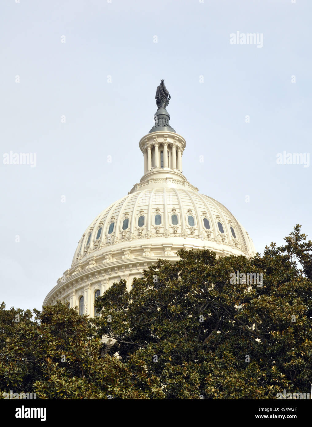 Blick auf die Kuppel und die Statue der Freiheit auf dem US Capitol, Washington DC Stockfoto