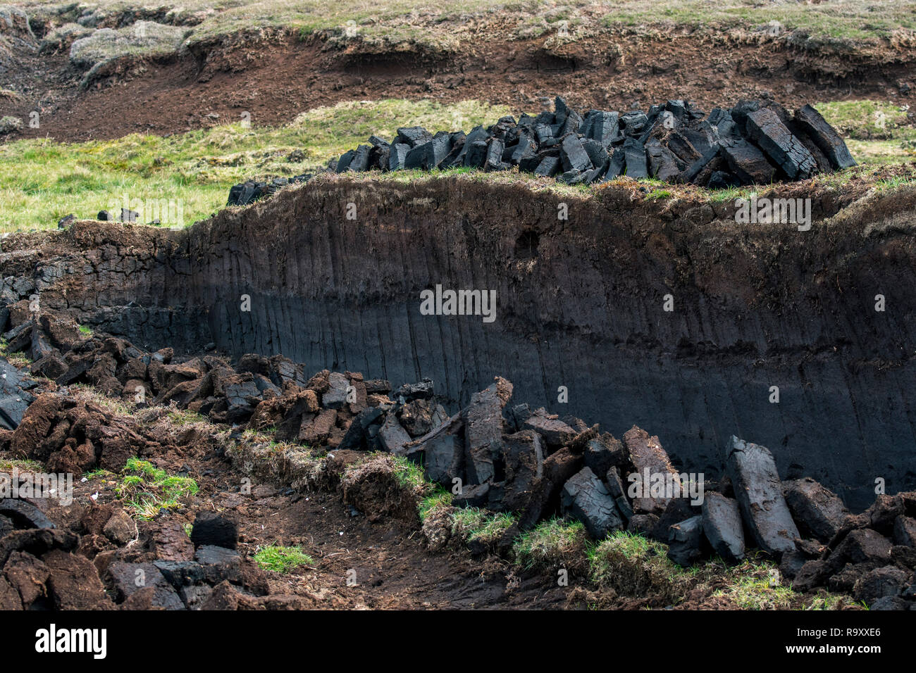 Torfabbau im Moor- und Heidelandschaft, die Pfähle der geernteten Torf Trocknen als traditionelle Kraftstoff verwendet werden, Shetlandinseln, Schottland, Großbritannien Stockfoto