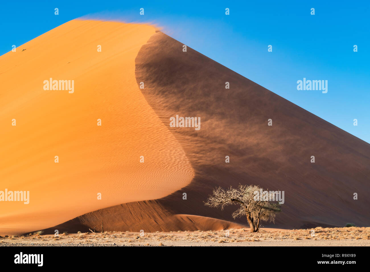 Wehenden sand Stockfoto