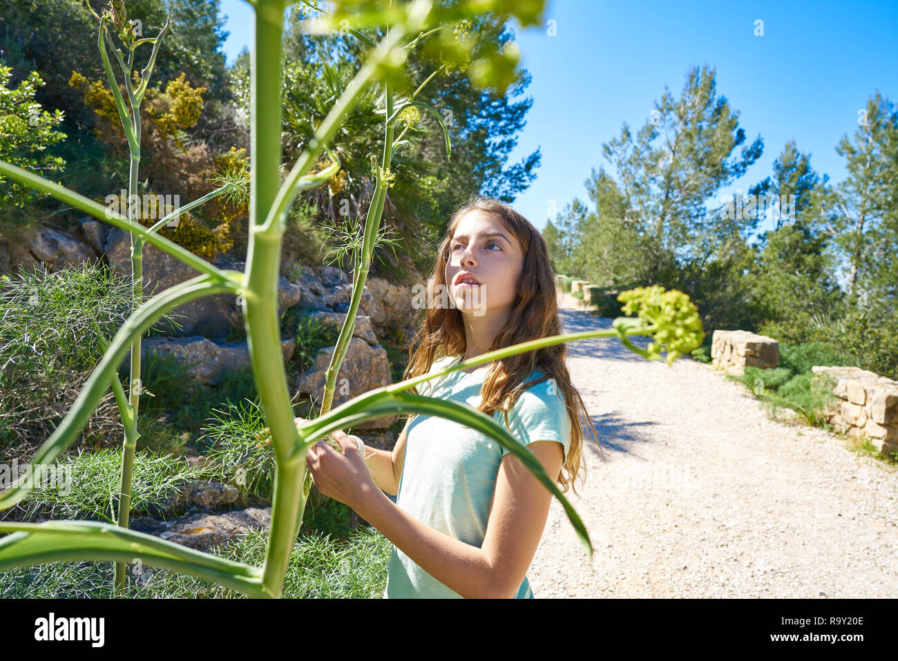 Brunette Teen Girl in mediterranen Track mit Fenchel pflanzen Stockfoto