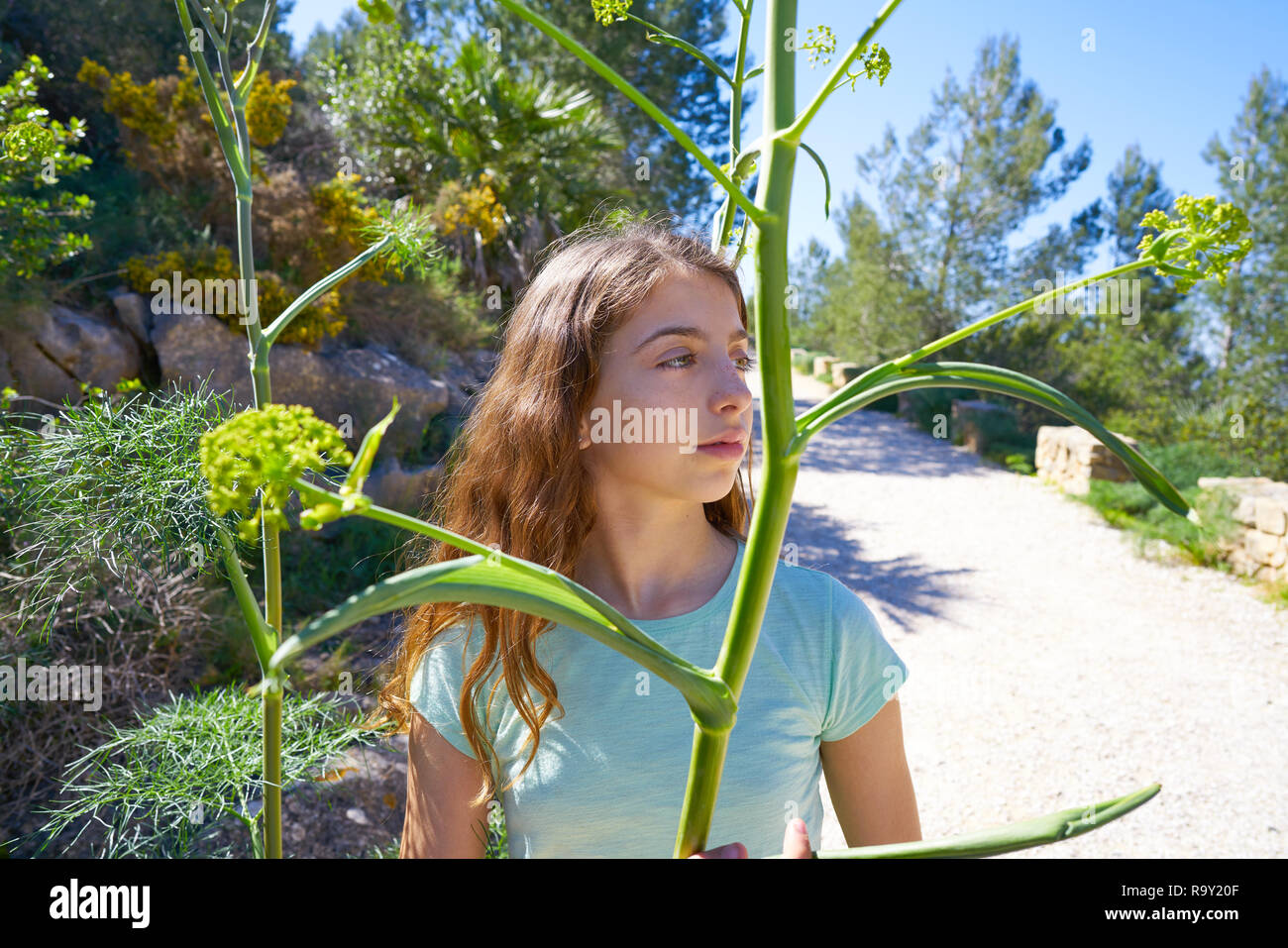 Brunette Teen Girl in mediterranen Track mit Fenchel pflanzen Stockfoto
