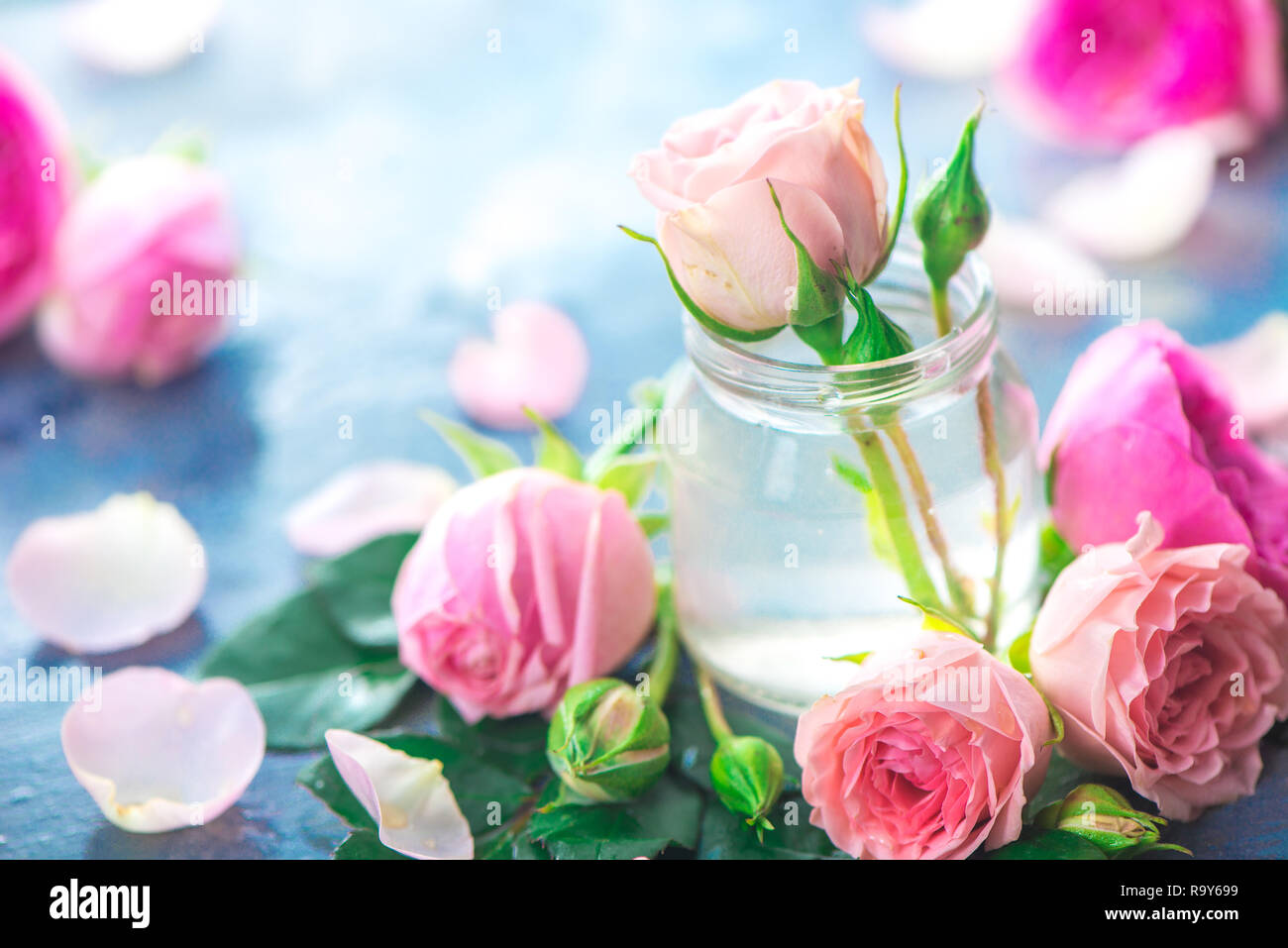 Glasflaschen mit rosa Pfingstrosen Rosen auf einen hellen Hintergrund mit kopieren. Femininer Kopf mit Blüten und Blumen in Pastelltönen Stockfoto