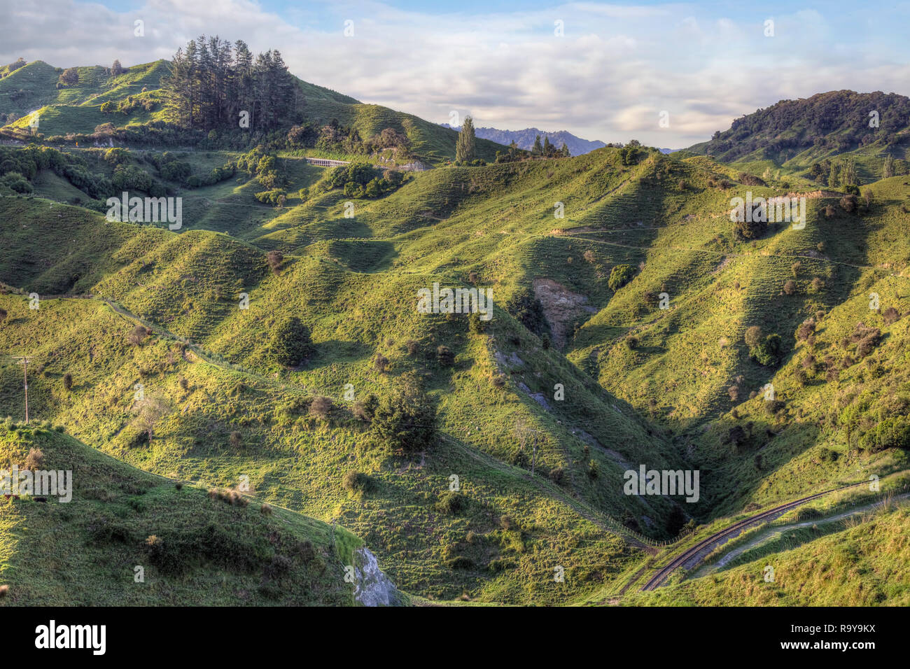 Neuseeland State Highway 43, vergessene Welt Highway, Ohura, König Land, North Island, Neuseeland Stockfoto