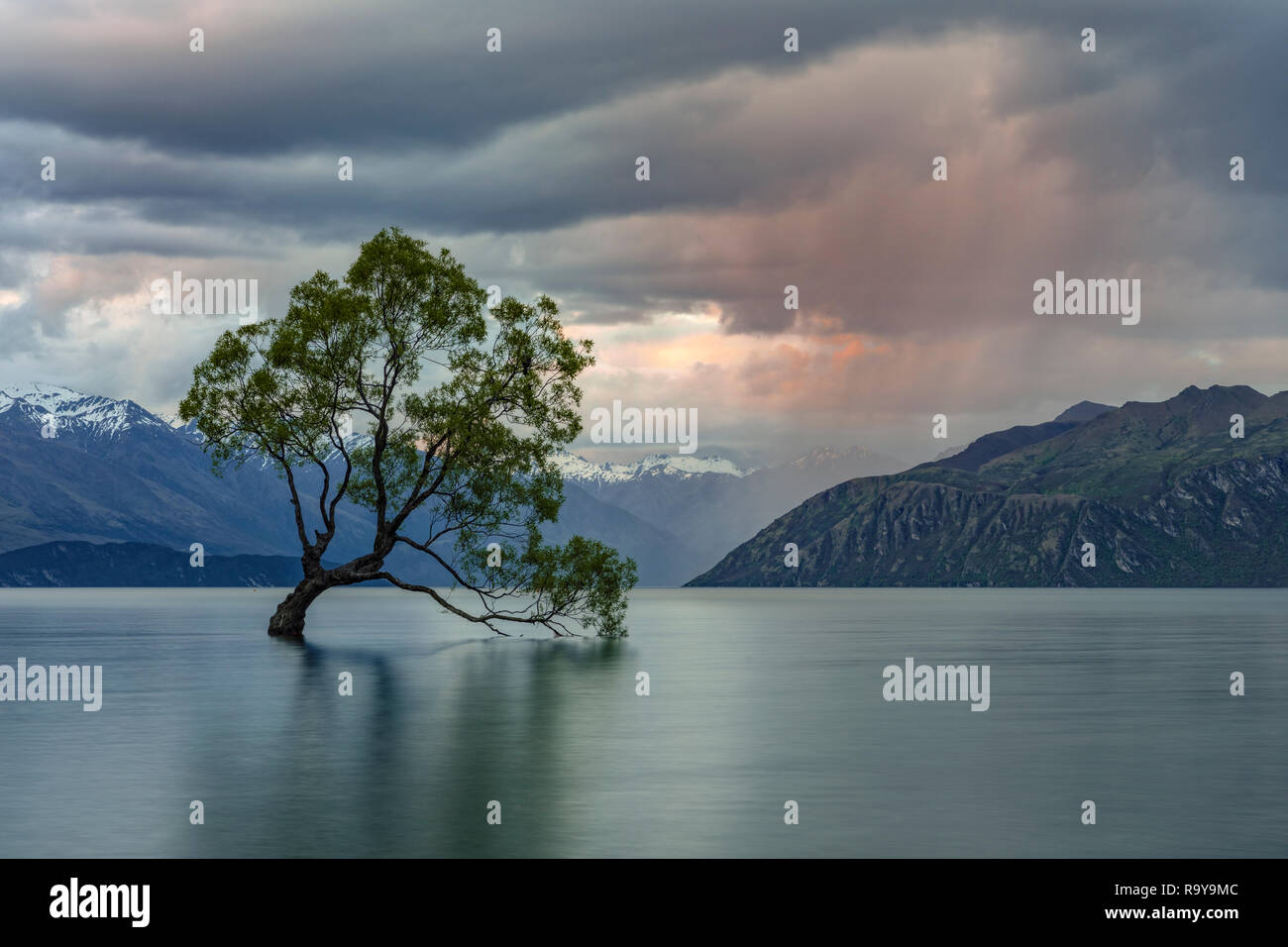 Wanaka, Queenstown Otago Lakes District, South Island, Neuseeland Stockfoto