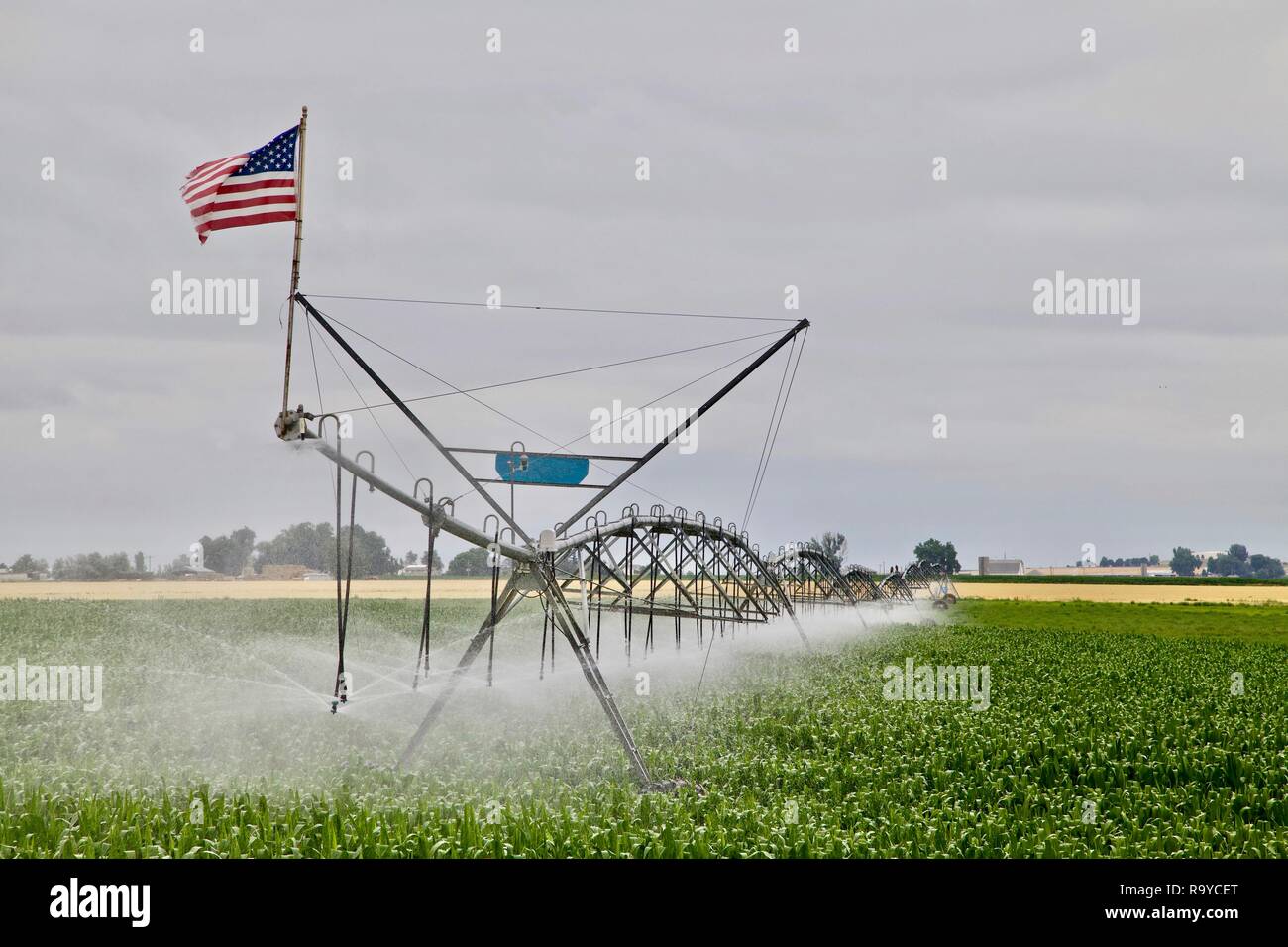 Eine Farm auf den östlichen Ebenen von Kolorado stellt nationalen Stolz durch das Fliegen der amerikanischen Flagge am Ende einen Drehmittelpunkt Sprinkler. Stockfoto