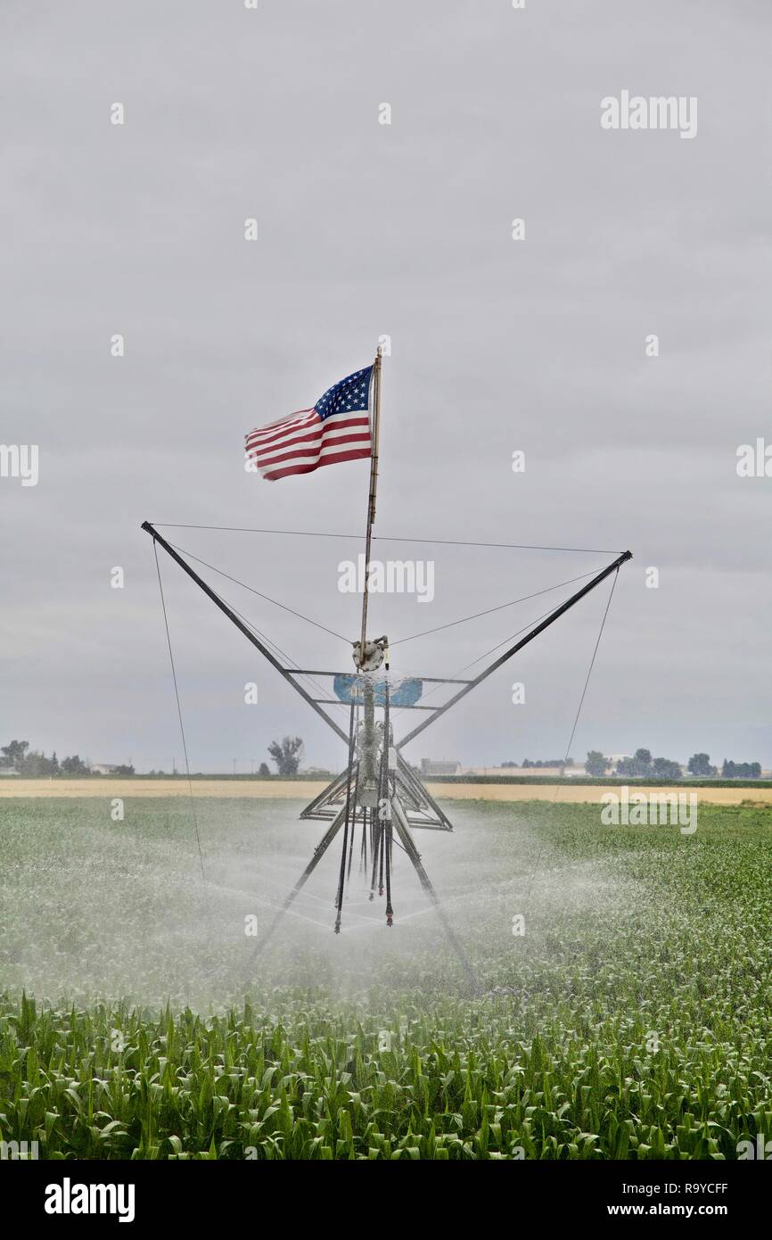 Eine Farm auf den östlichen Ebenen von Kolorado stellt nationalen Stolz durch das Fliegen der amerikanischen Flagge am Ende einen Drehmittelpunkt Sprinkler. Stockfoto