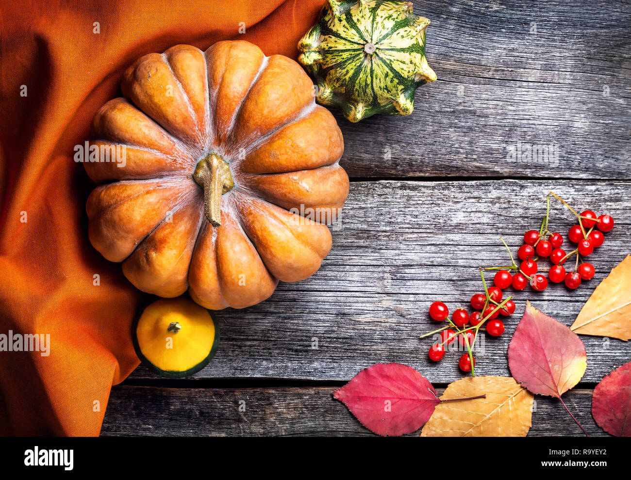 Kürbisse und rote Beere Dekoration auf Holz- Hintergrund im Herbst Stockfoto