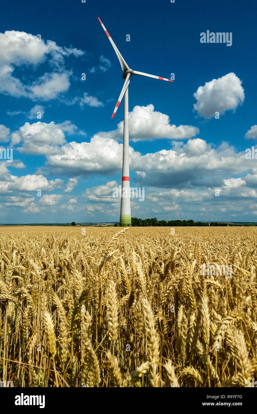 Windenergieanlage in Ackerland unter azurblauem Himmel mit Cumulus Wolkenbildung, Hessen, Deutschland Stockfoto