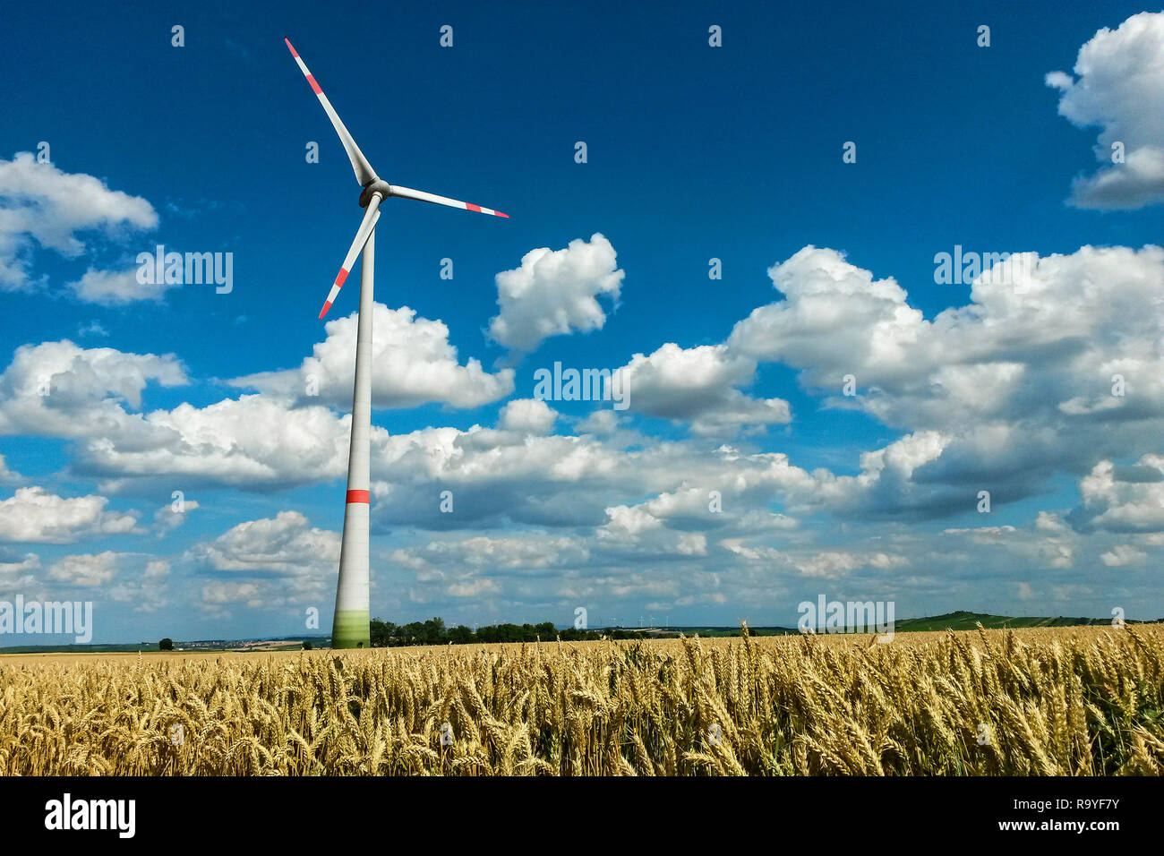 Windenergieanlage in Ackerland unter azurblauem Himmel mit Cumulus Wolkenbildung, Hessen, Deutschland Stockfoto
