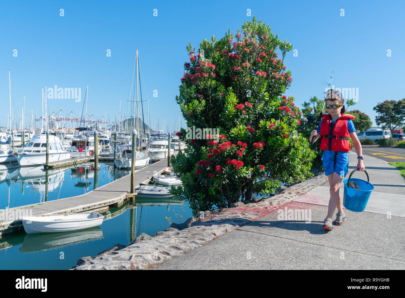 Kleiner Junge zu Fuß zum Pier Vergangenheit rote Blüte pohutukawa Baum am Rande der Marina mit Angel und Eimer fischen gehen Stockfoto