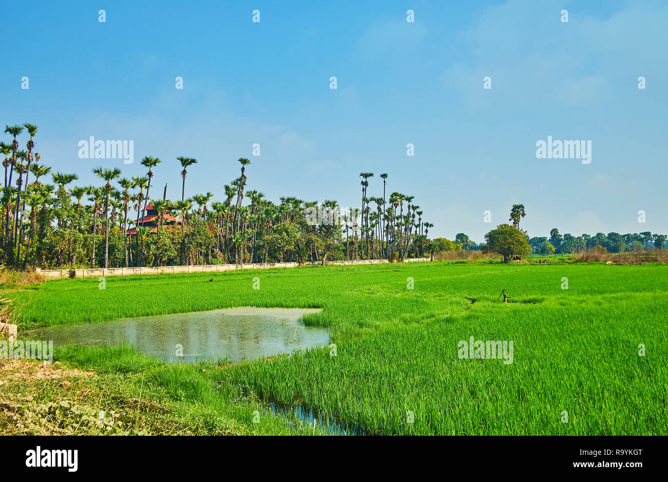 Besuchen Sie Ava und die Schönheit der tropischen Natur, landwirtschaftliche Flächen und historische Sehenswürdigkeiten, Myanmar. Stockfoto