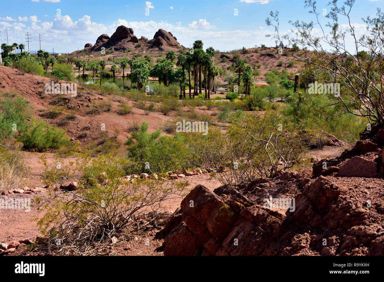 Papago Park am Stadtrand von Phoenix und Tempe, AZ, mit Wüste Landschaft plus kleiner See, USA Stockfoto
