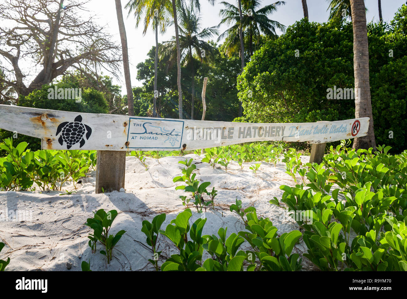 Ein Zeichen für die Schildkröte Brutplatz in Diani Beach mit Informationen über Schildkröten, Diani, Kenia Stockfoto