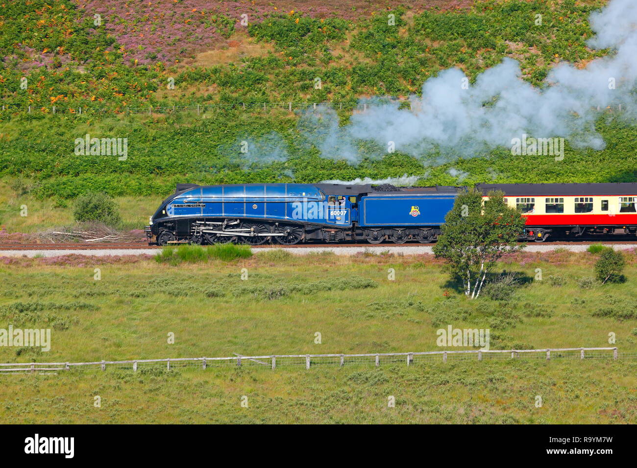 60007 Sir Nigel Gresley Dampflok auf der North Yorkshire Moors Railway in Goathland. Stockfoto