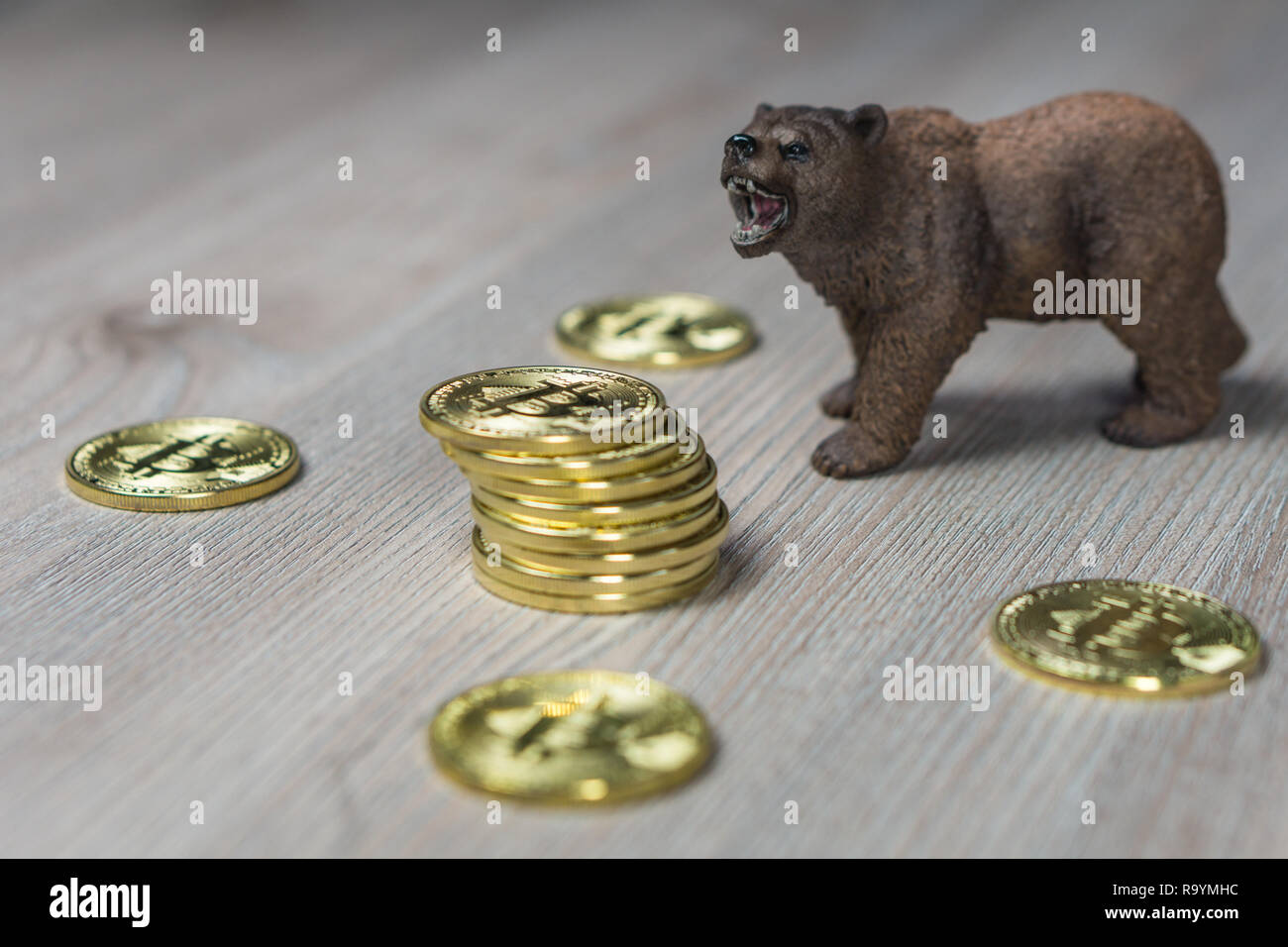 Bär mit Gold Bitcoin Cryptocurrency. Baisse an der Wall Street das Finanzkonzept. Stockfoto