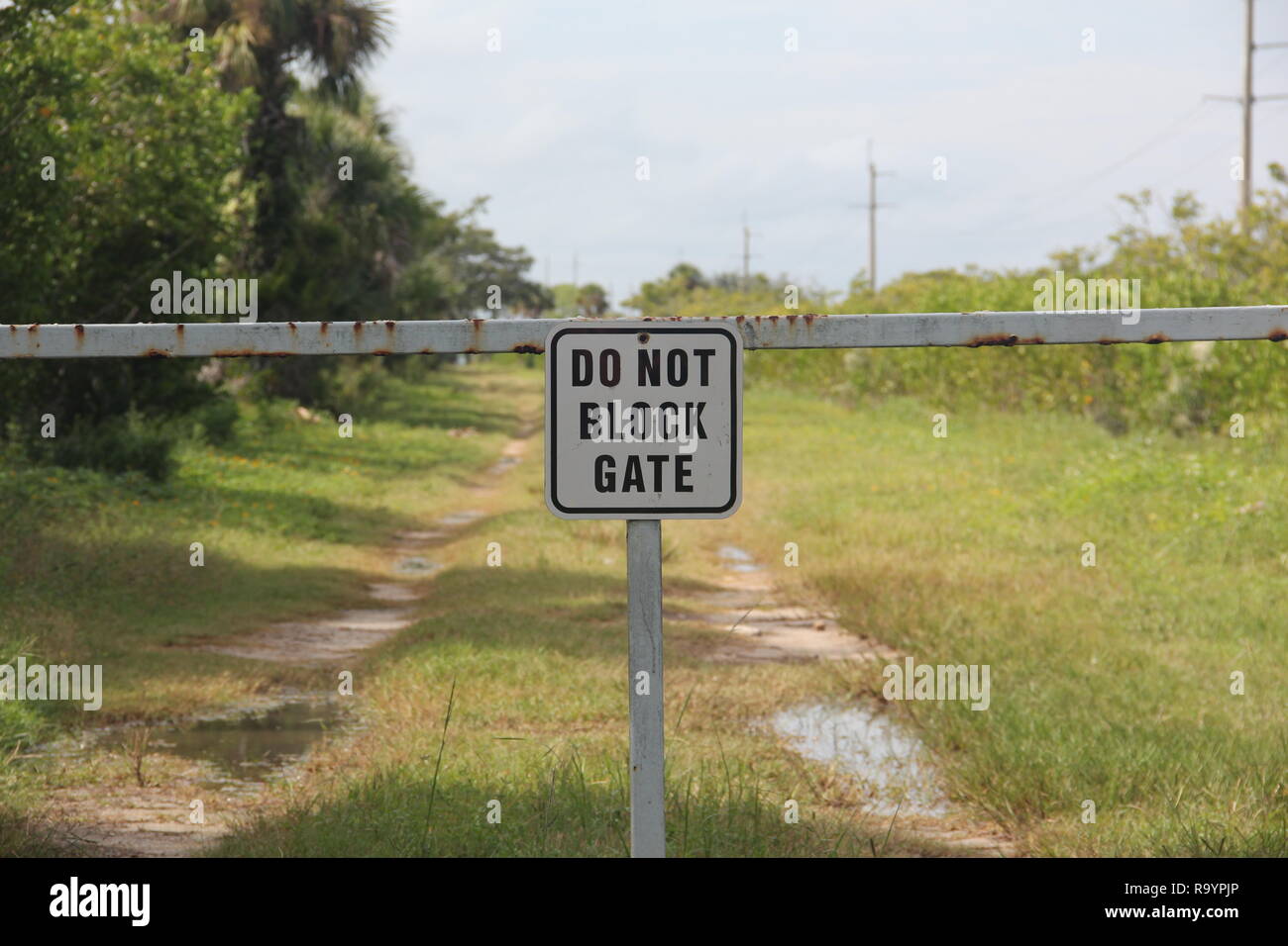 Anmelden Merritt Island National Wildlife Refuge, Florida, USA Stockfoto