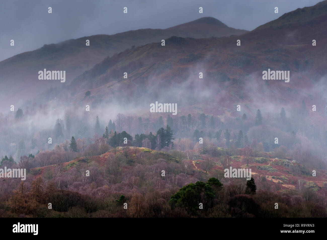 Nebel auf der unteren Flanken des Heron Hecht und Aber abgesehen davon Moss gemeinsamen, in der Nähe von Grasmere, Lake District, Cumbria Stockfoto