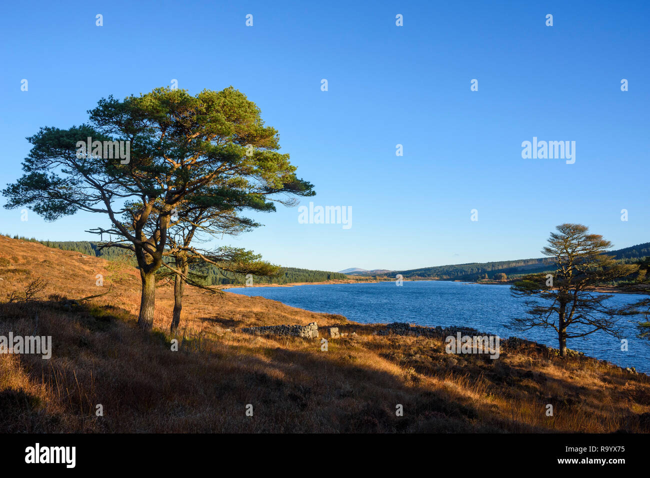 Loch Grannoch, Galloway Forest, Dumfries and Galloway, Schottland Stockfoto