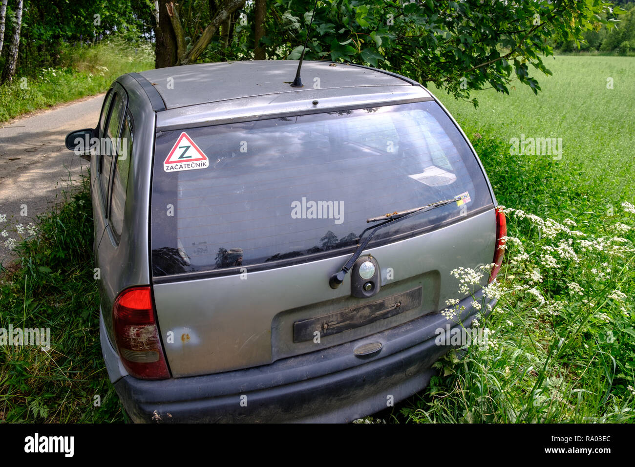 Auto, das stürzte kopfüber in einem Baum auf einer Landstraße in der Tschechischen Republik Stockfoto