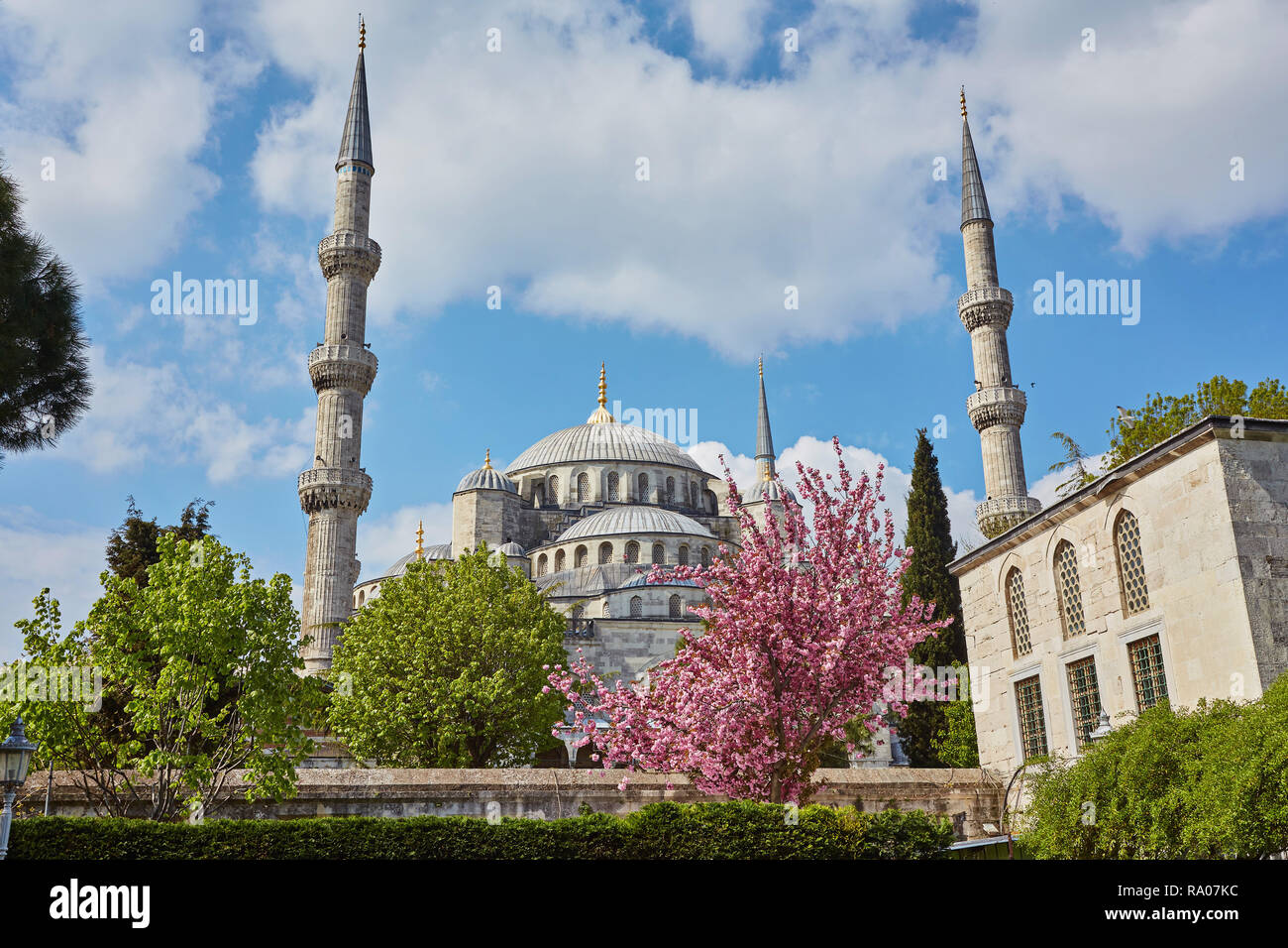 Blaue Moschee, kunst Meisterwerk von Istanbul, Türkei Stockfoto