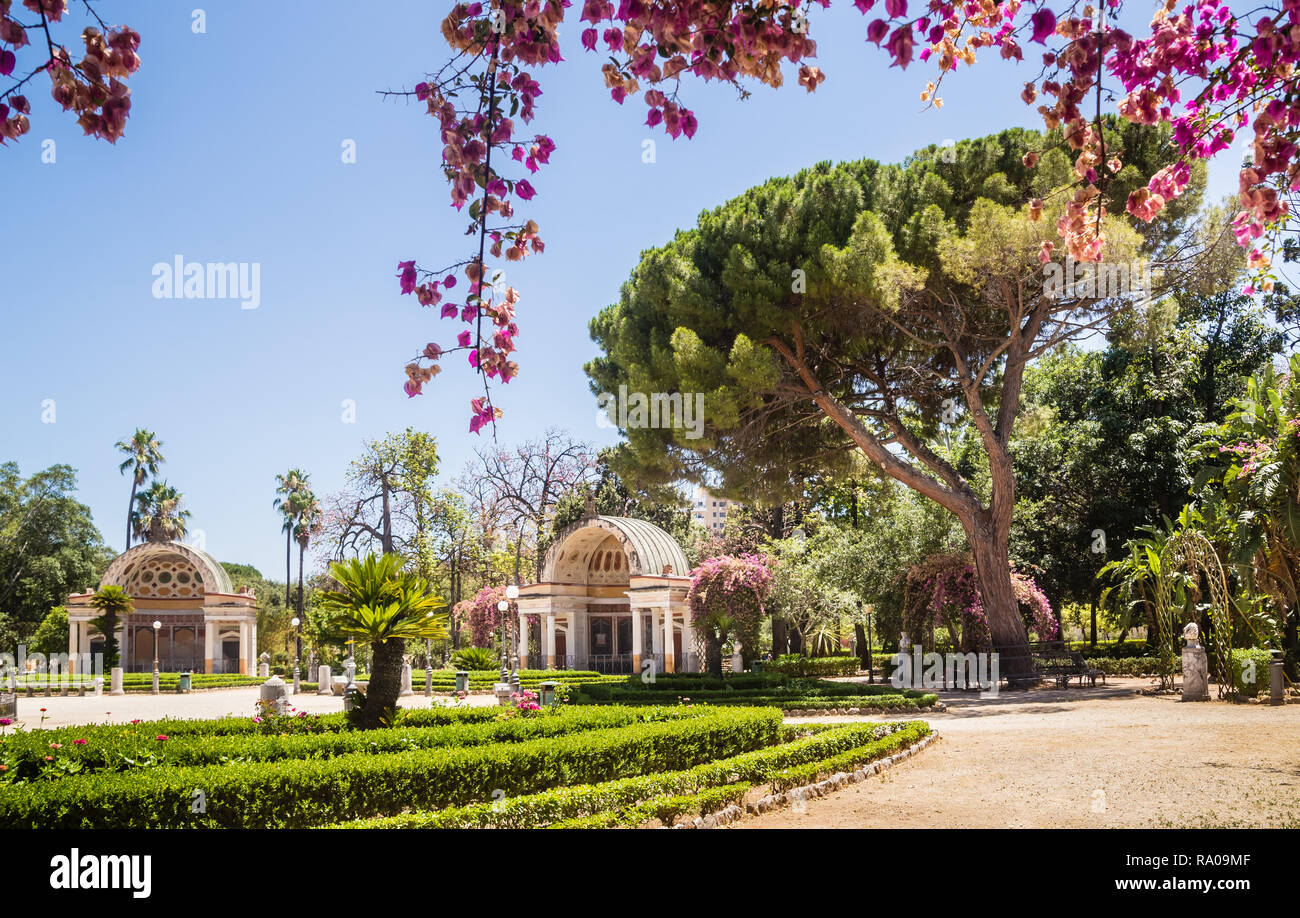 Palermo Botanischer Garten (Orto Botanico), Palermo, Sizilien, Italien, Europa Stockfoto