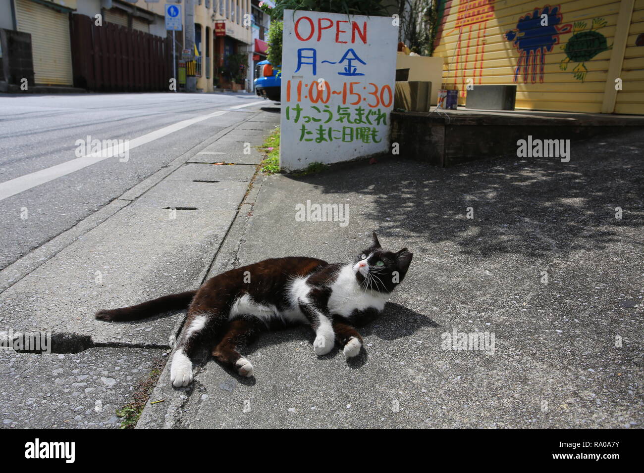 Schwarze Katze in der Japan street Stockfoto