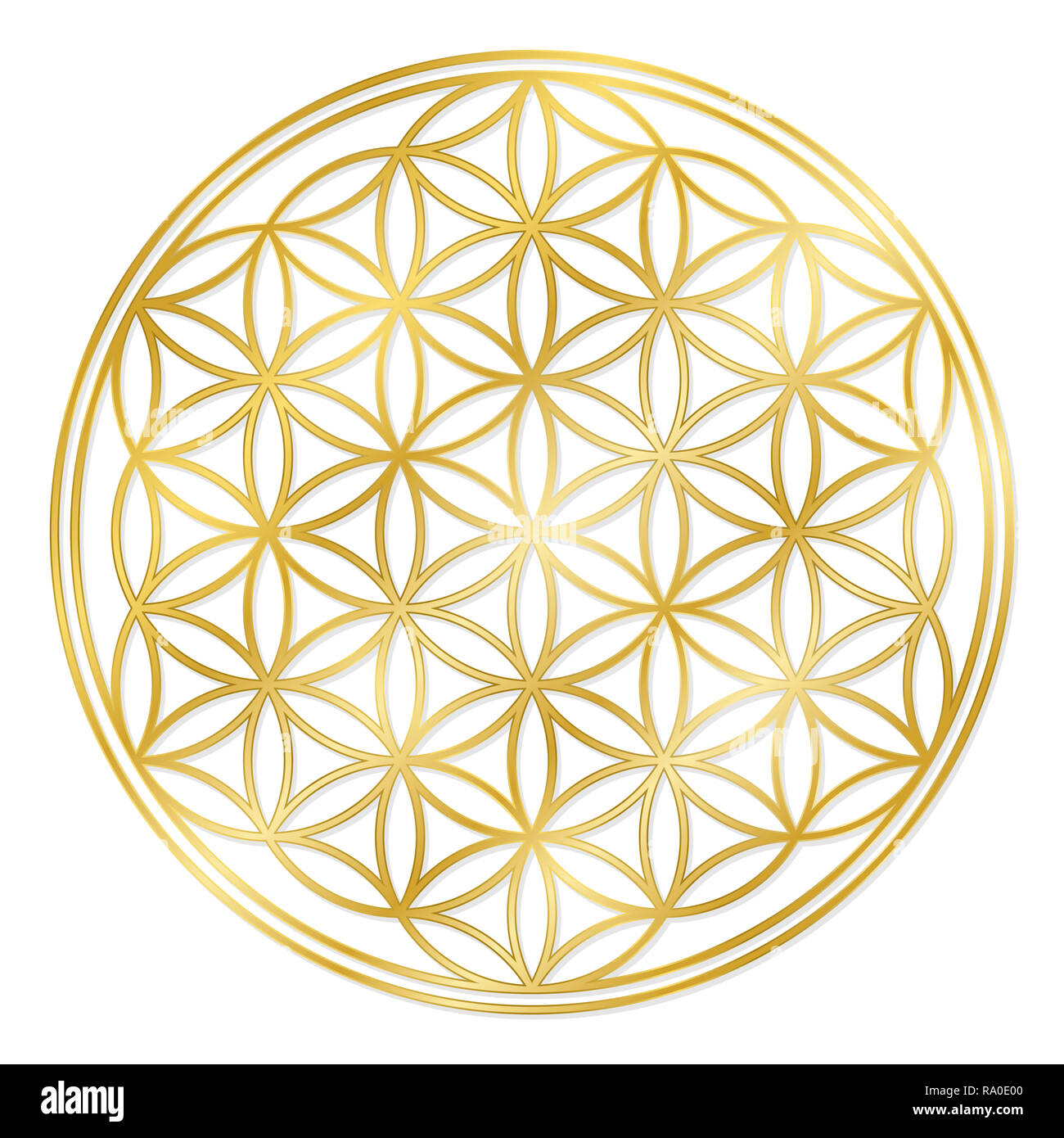 Goldene Blume des Lebens, zur Dekoration oder goldene Anhänger verwendet. Geometrische Symbol auf weißem Hintergrund. Stockfoto