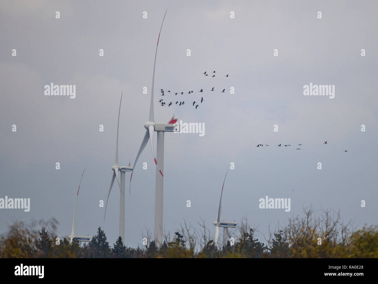 Kranich (Grus Grus) große Herde fliegen über die Windenergieanlage, Hessen, Deutschland Stockfoto