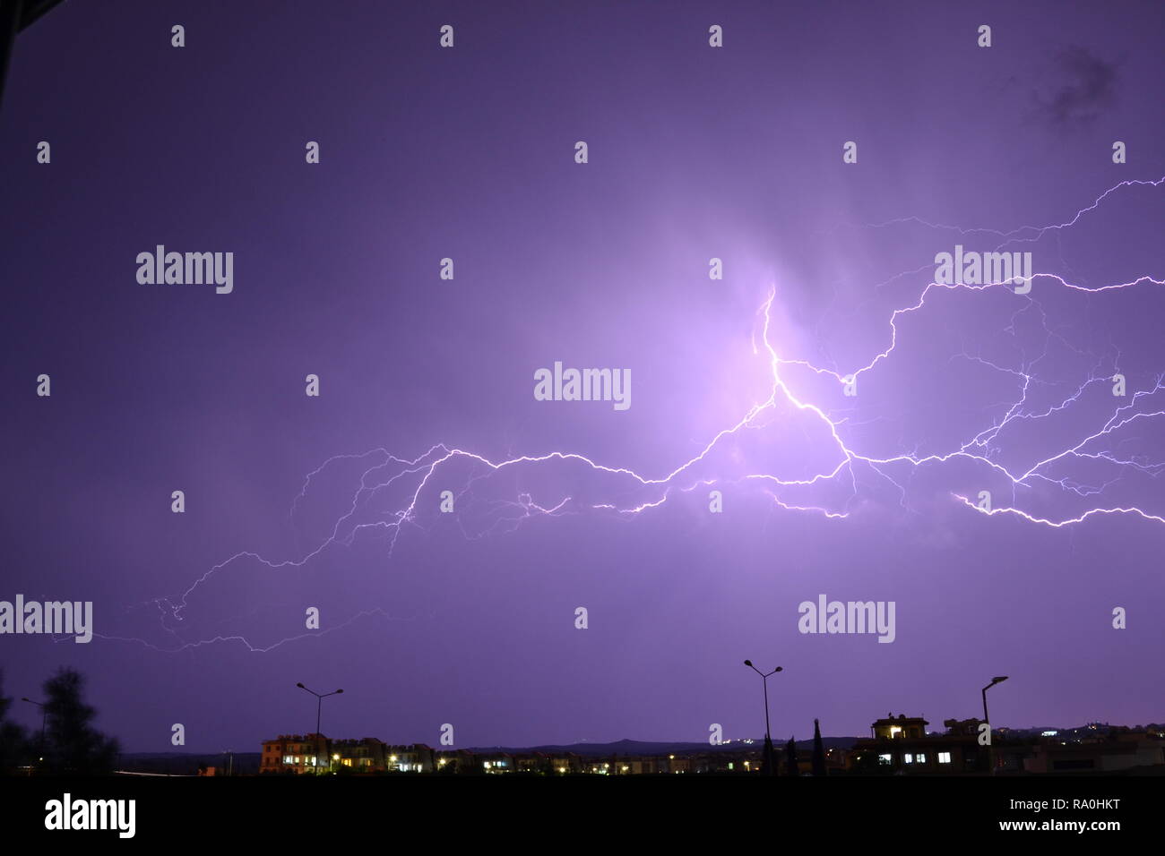 Insel Blumen Stockfoto