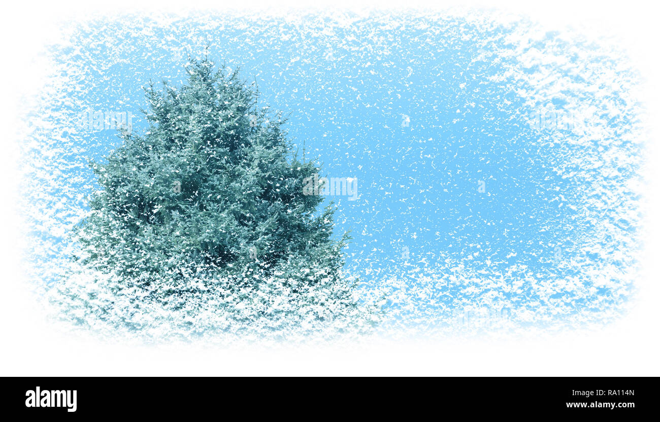 Tanne im Winter mit Schneefall horizontale banner Hintergrund abgedeckt. Christmas gift card. Stockfoto