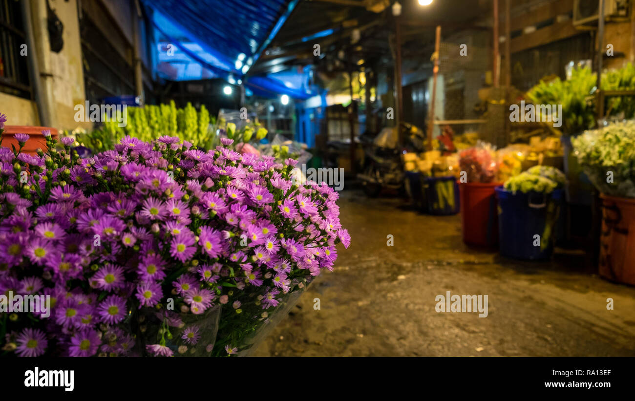 Schöne Blumen mit unscharfen Hintergrund für kommerzielle Zwecke verwendet werden kann. Stockfoto