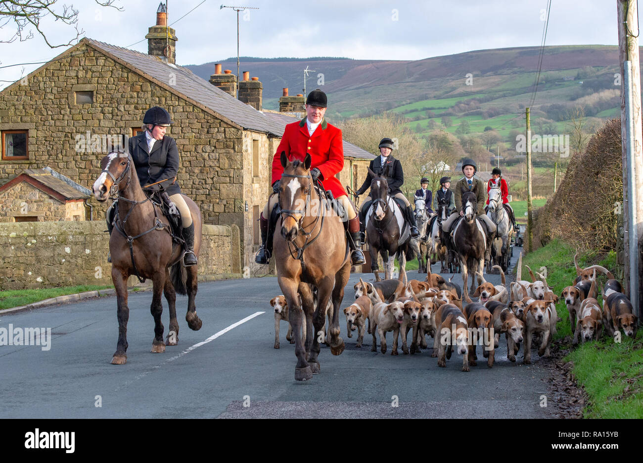 Preston, Lancashire, UK. 29. Dezember, 2018. Hunde und Pferde auf die Jagd ziehen an einem schönen Nachmittag in der Nähe von Preston, Lancashire. Quelle: John Eveson/Alamy leben Nachrichten Stockfoto